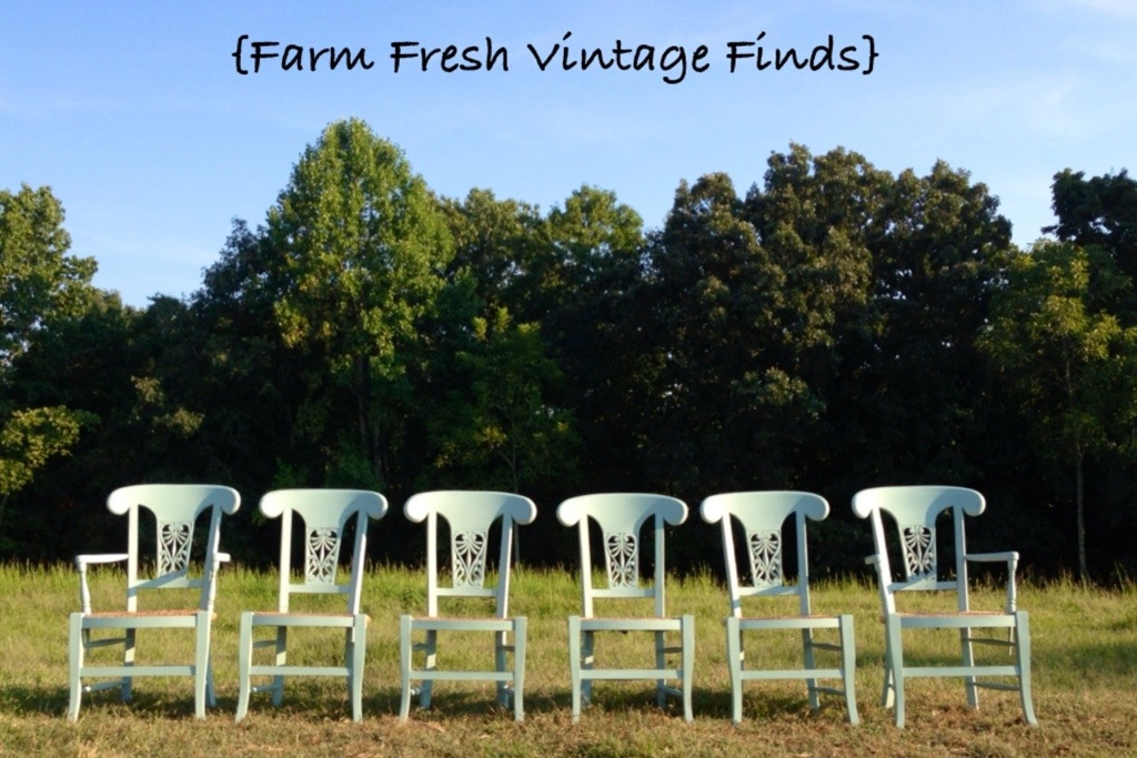 Duck Egg Table and Chairs