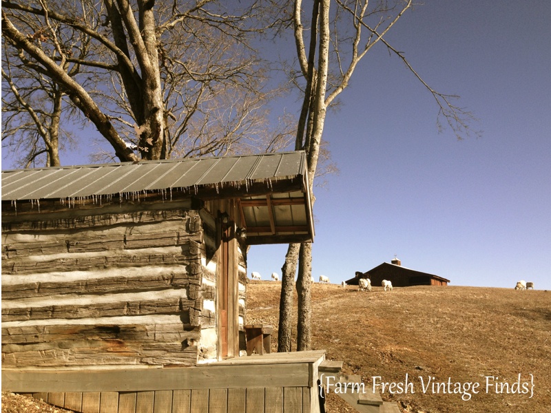 Chesnut Smokehouse 