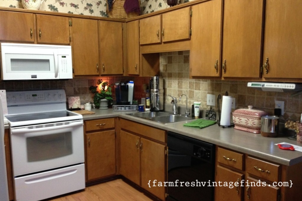 Kitchen cabinets before