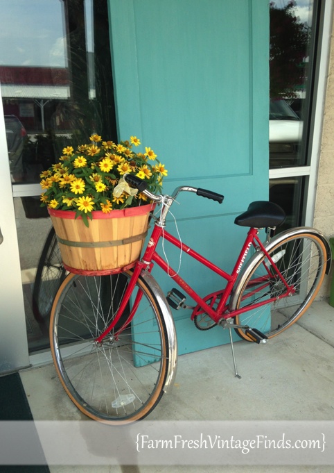 Colorful Bike