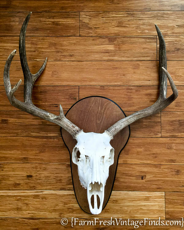 Deer Head