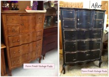 15+ Before and After Painted Furniture Ideas - Farm Fresh Vintage Finds