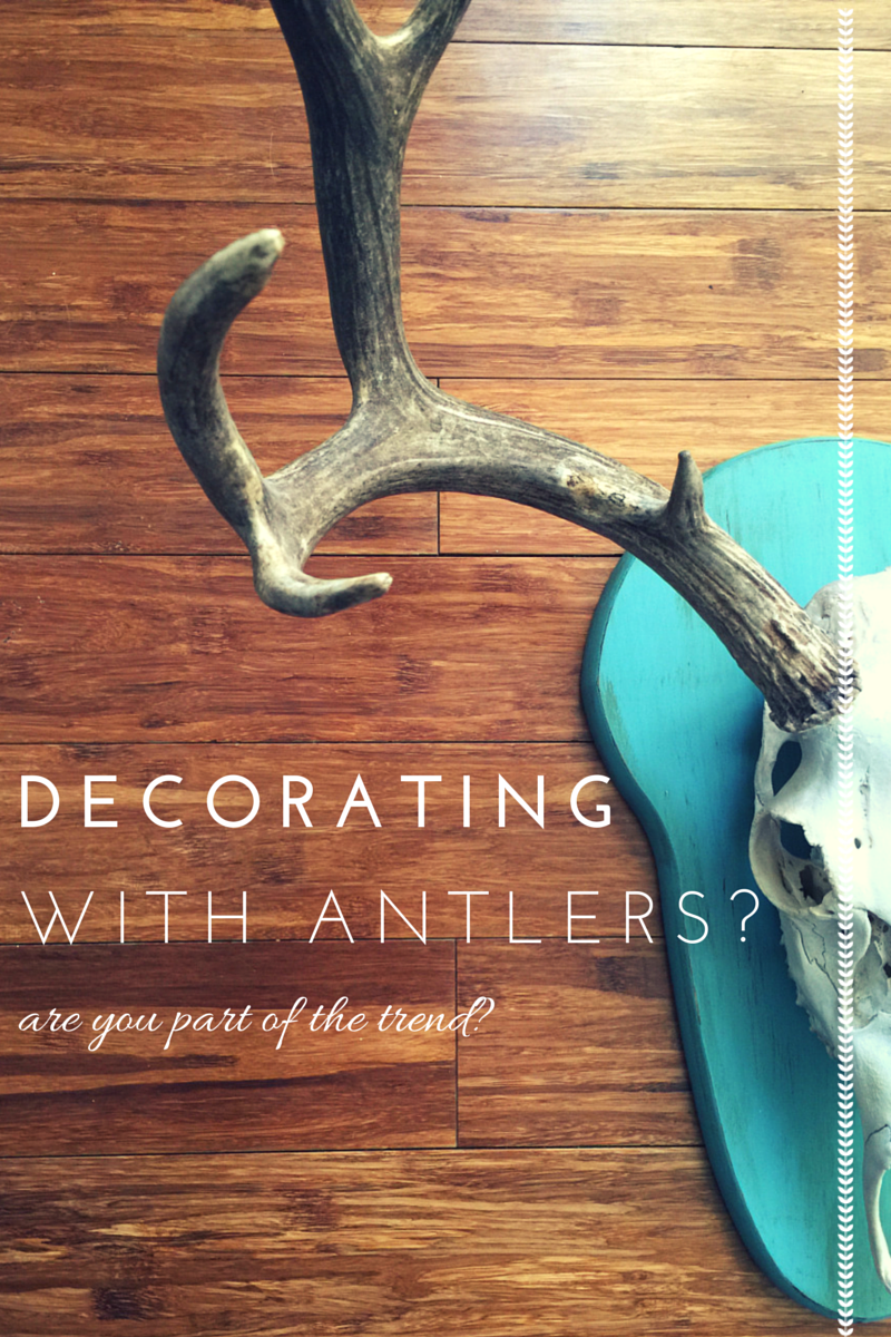 Deer Antlers | Decorating | And a Confession